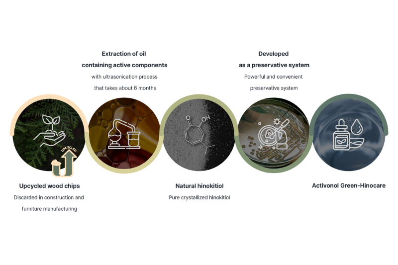 A new alternative preservative derived from Hinoki Cypress tree extract
