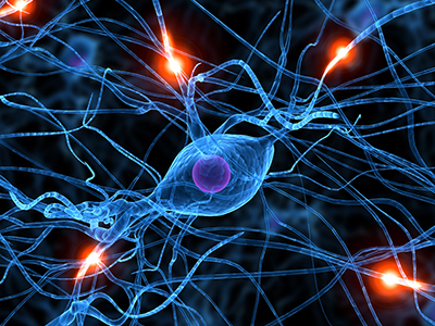 Algaktiv Zen - the latest in skin neuroscience