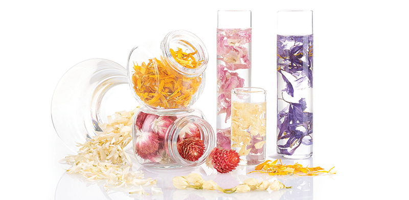 Lessonia will exhibit its Piece of Nature range