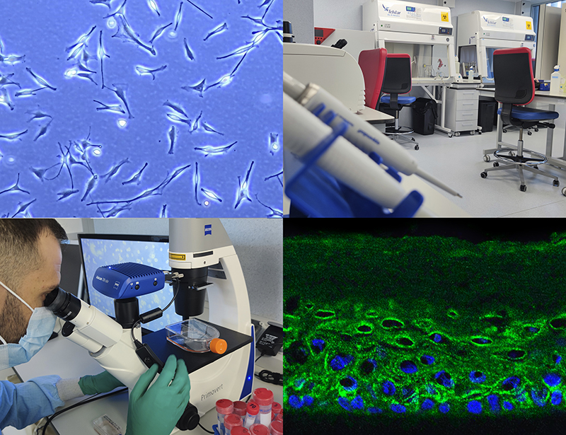 Dermaclaim: Dermocosmetic efficacy testing. The most reliable results