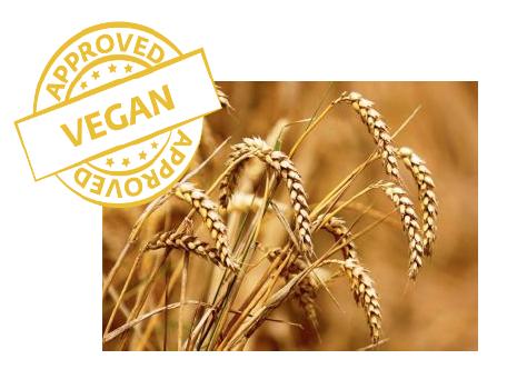 Givaudan Active Beauty receives first vegan approval for range of self-tanning products