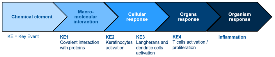 In vitro sensitisation tests: what strategy to follow?