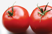 Ingredients – natural diversity