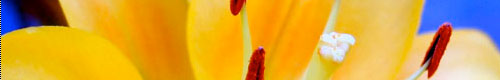 Kew Health and Beauty