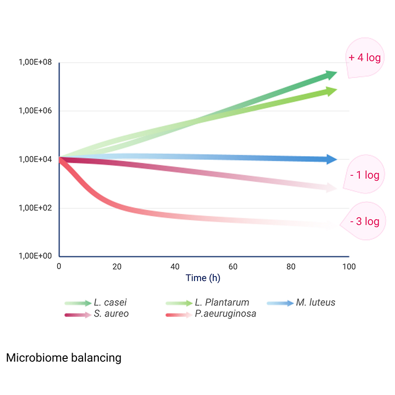 Lady Purple: Award winning upcycled microalgae