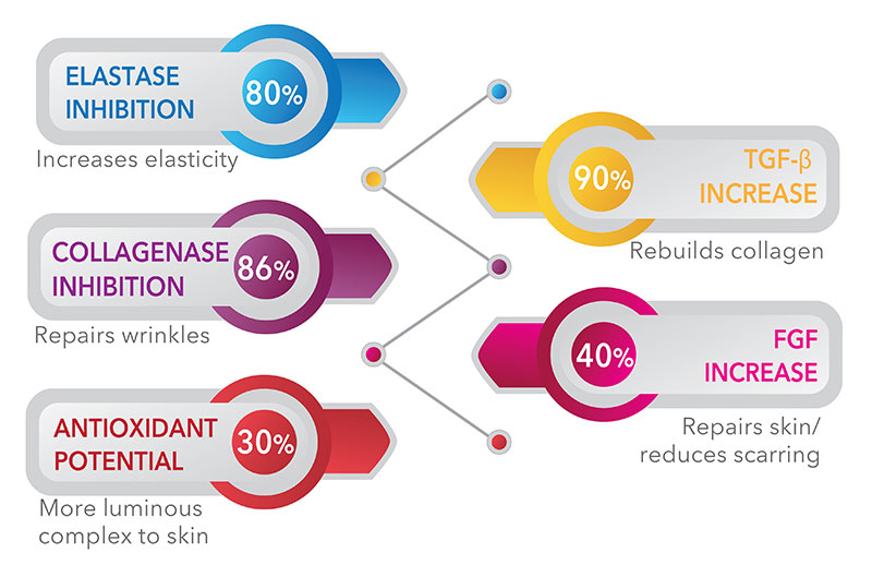 Figure 2: Anti-ageing potential of Olepent®