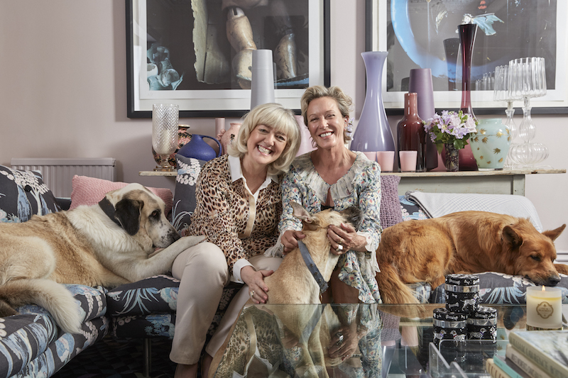 The two entrepreneurs own 11 rescue dogs between them