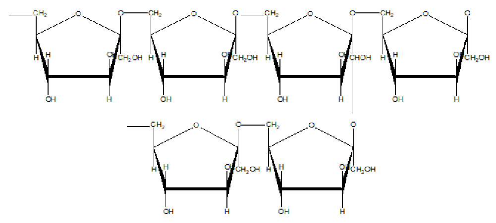 Structure of Levan | β-(2,6) fructose polymer containing β-(2,1) branch