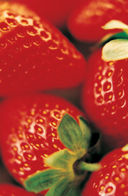 Skin care – a radical approach 