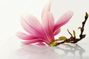 Skin care – a radical approach 