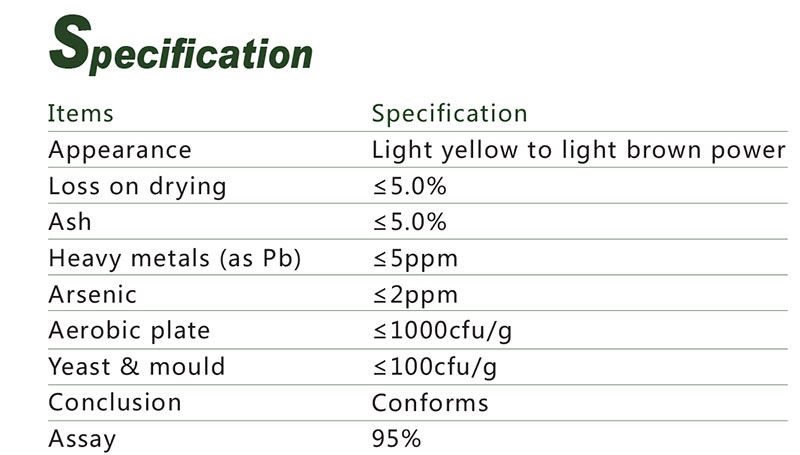 SpecPure launches new Camellia sinensis extract