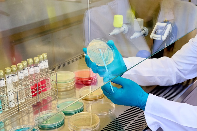 Inside Syensqo's largest microbiology lab globally in Lyon, France