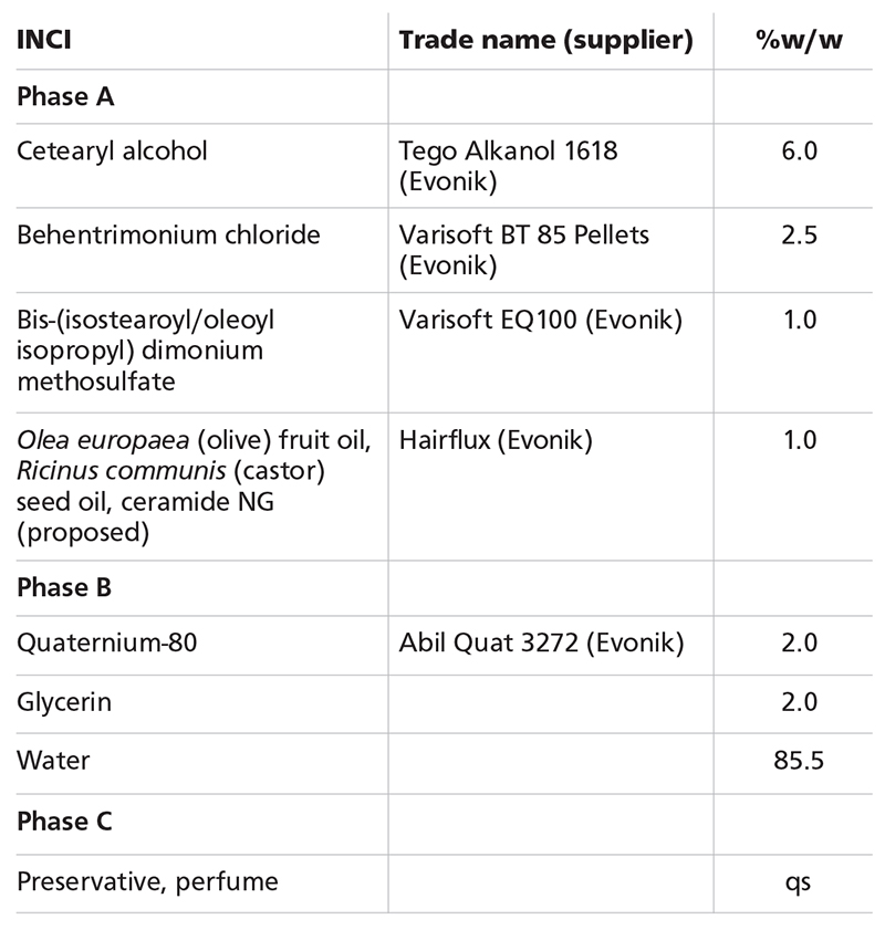 The latest hair care formulations: Treating the scalp and protecting hair